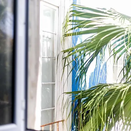 Urban Nest - A In The *