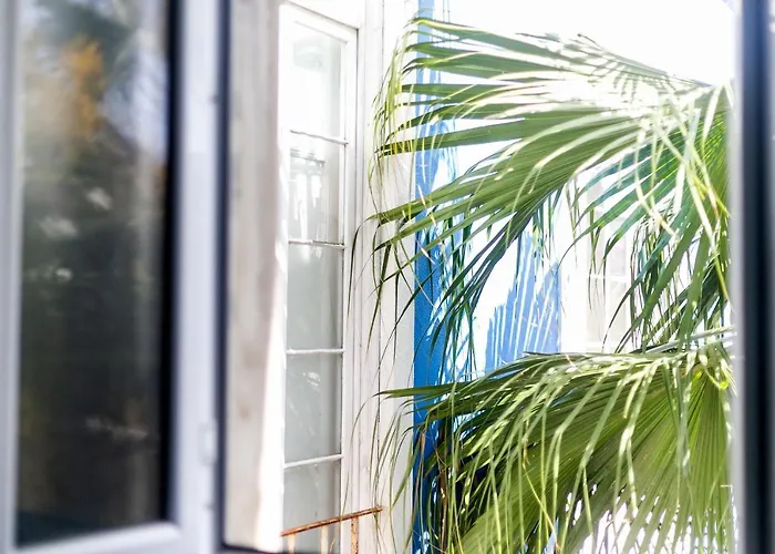 Urban Nest - A In The *